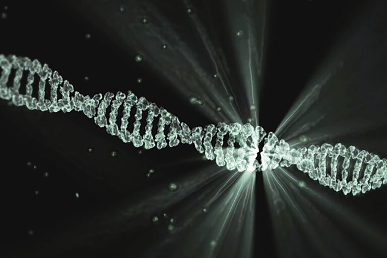 An Alzheimer's Gene